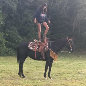 Meet your Posher, Lillie